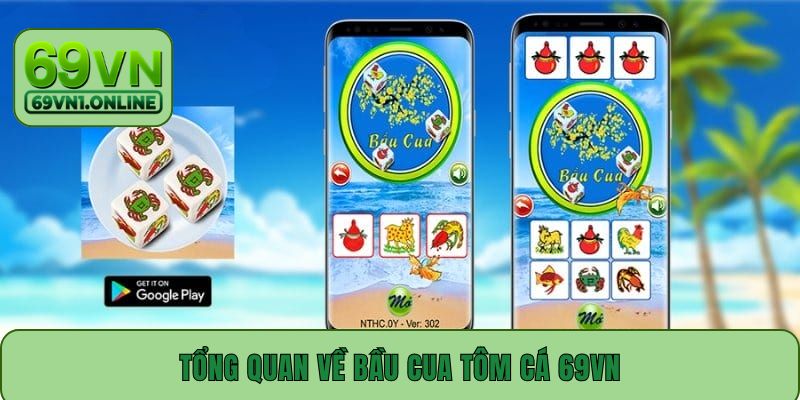 Tổng quan về Bầu Cua Tôm Cá 69VN